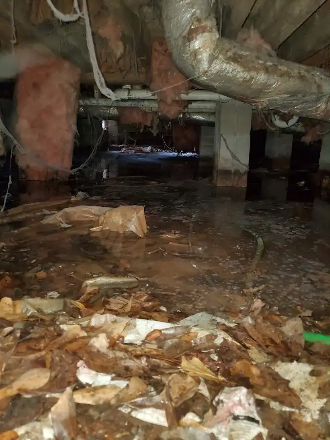 Crawl space flood assessment for Leak Detection & Repair in South Lakes