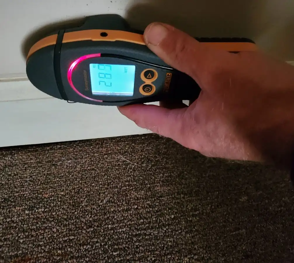 Moisture detection at baseboard during Mold Inspection & Testing in South Lakes